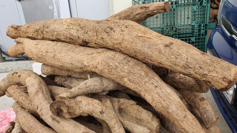 골다공증과-성인병-예방