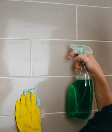 타일 청소와 유지 보수의 모든 것