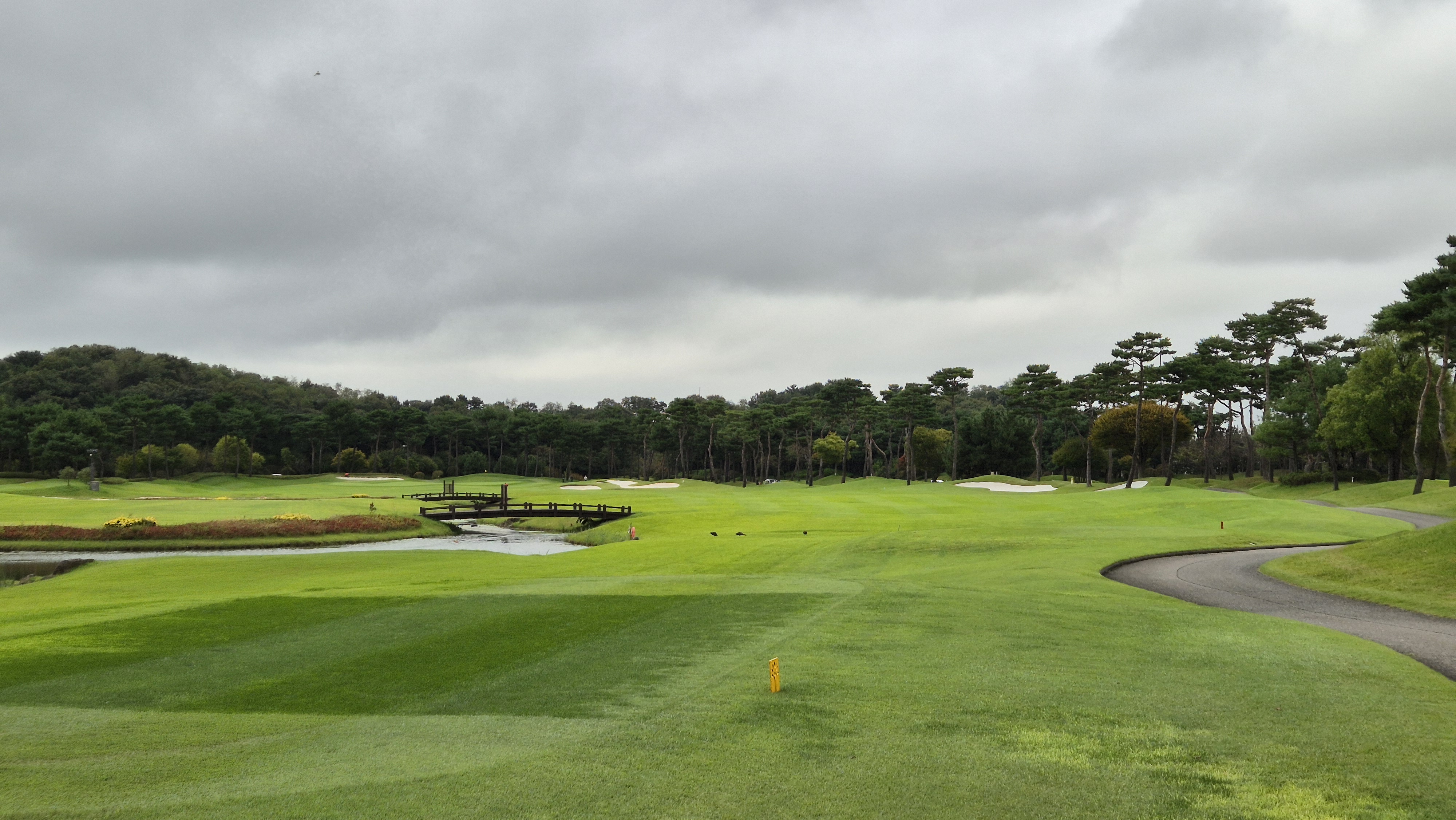 파인스톤cc 파인 코스