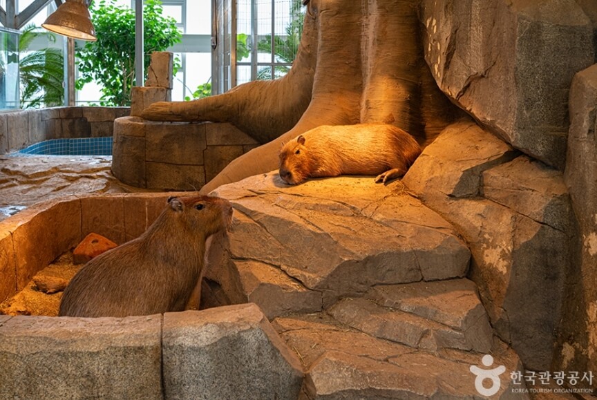 오산 가볼만한곳 베스트 10