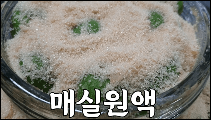 매실청 매실액기스