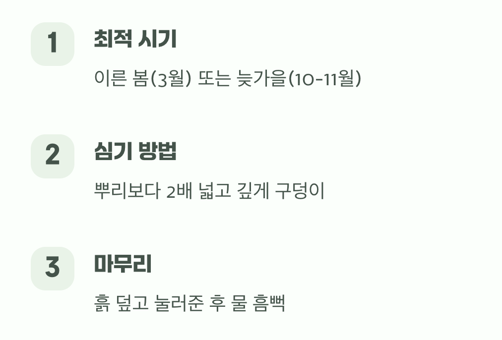 성공적인 첫걸음, 옮겨 심기