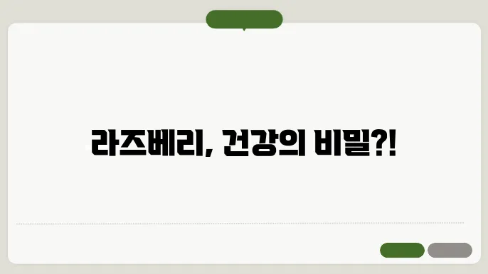 라즈베리 효능