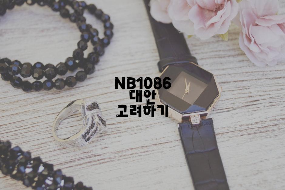 NB1086 대안 고려하기