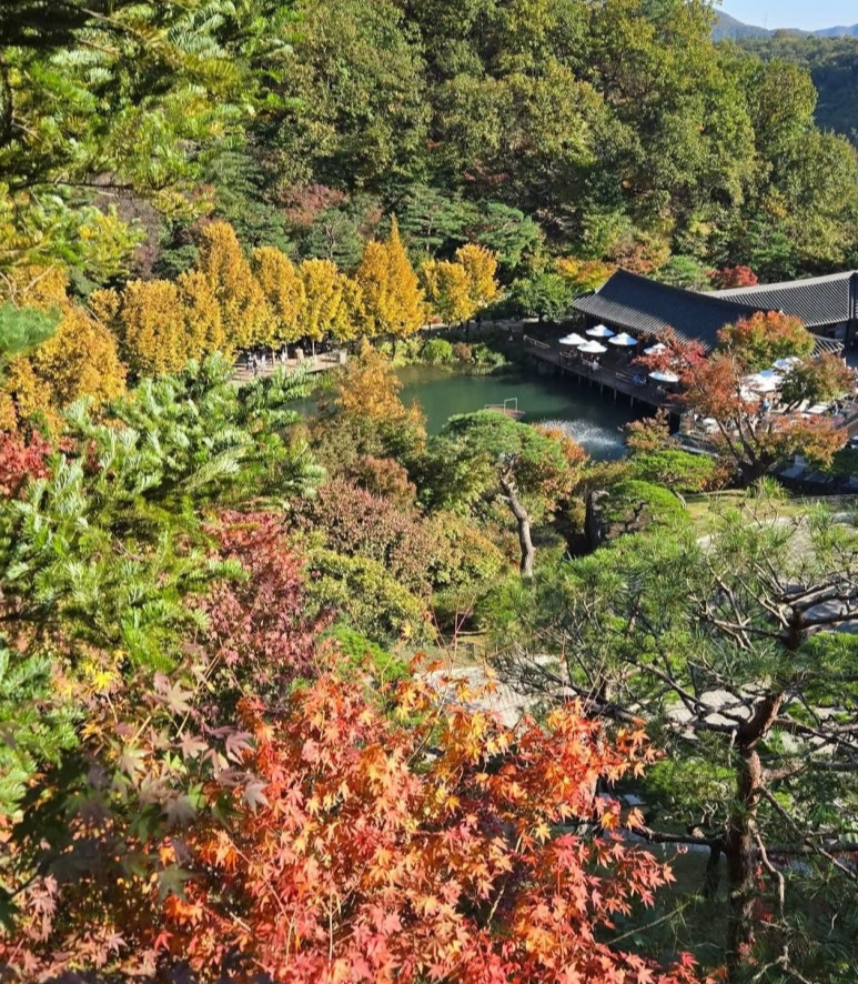 화담숲 단풍시기 예약 단풍명소