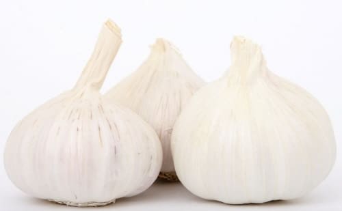 마늘-임파선염에-좋은음식