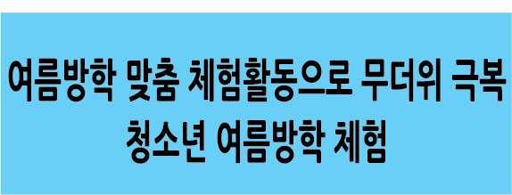 Alt 속성 문제 해결 설명 이미지