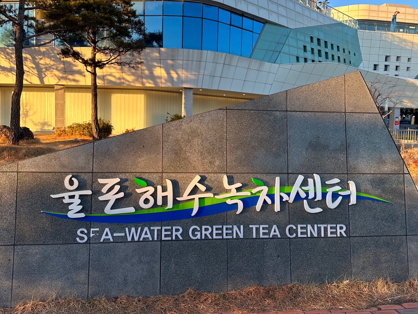 율포해수녹차센터