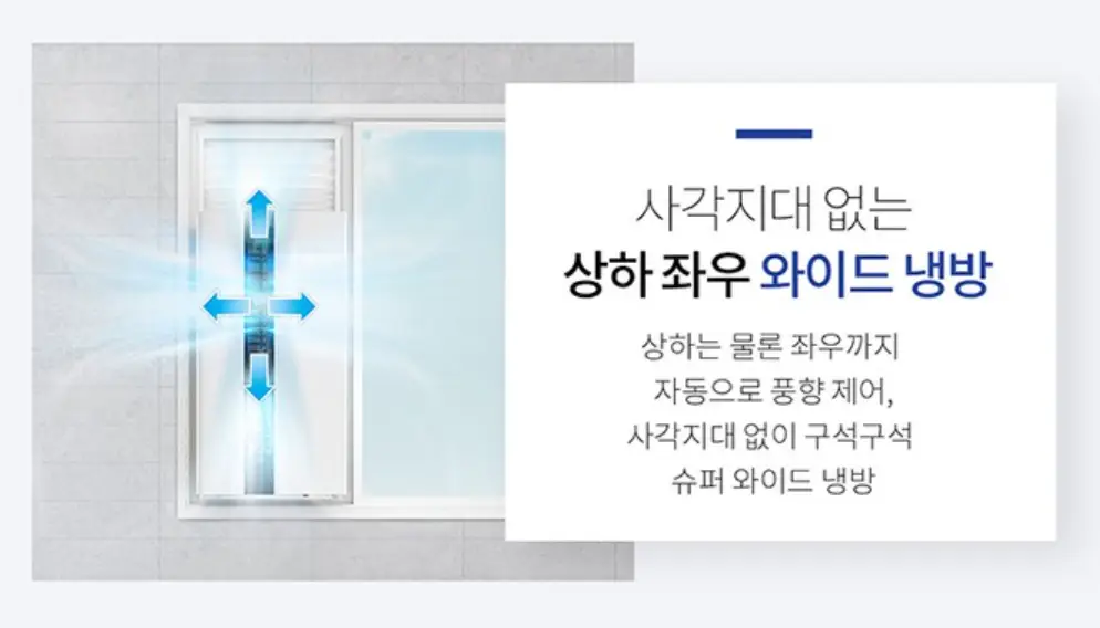 사진12