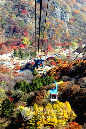 2024 내장산 단풍축제