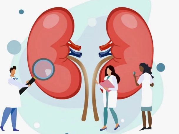 신장 영양제 성분 추천 (성분 주의사항 Tip)