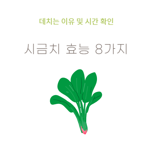 시금치-효능,데치는-이유,시간