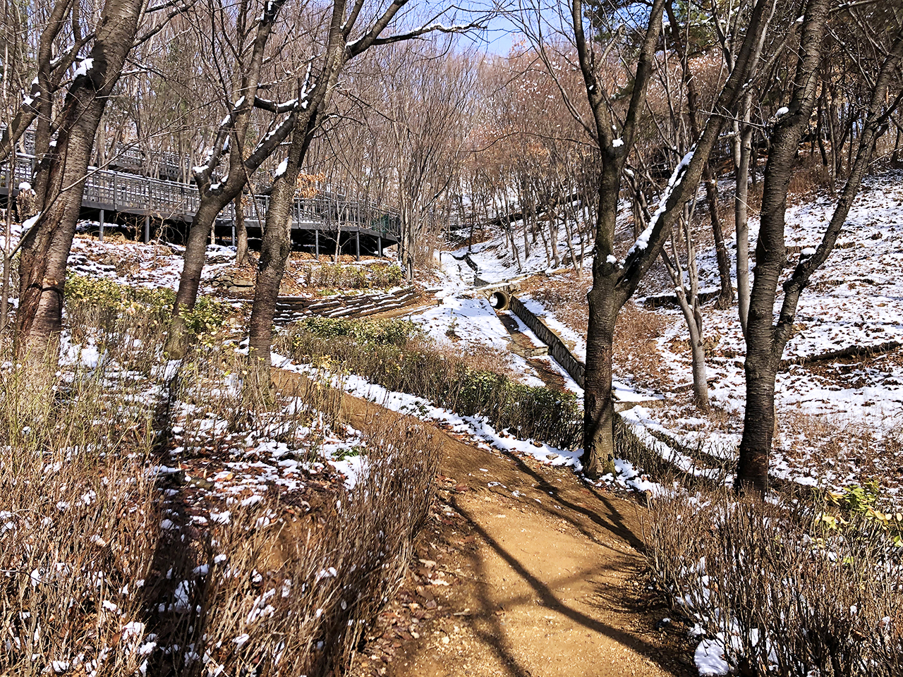 일반 산길