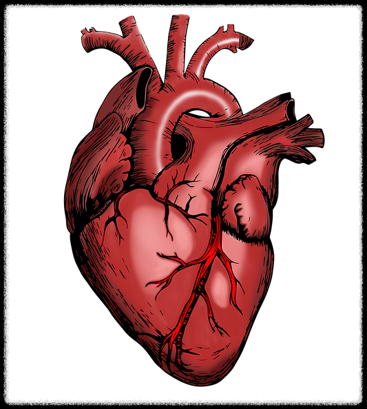 토마토 관련 이미지12