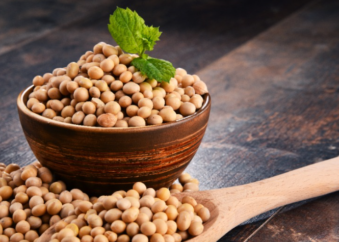 루피니빈-건강-효능