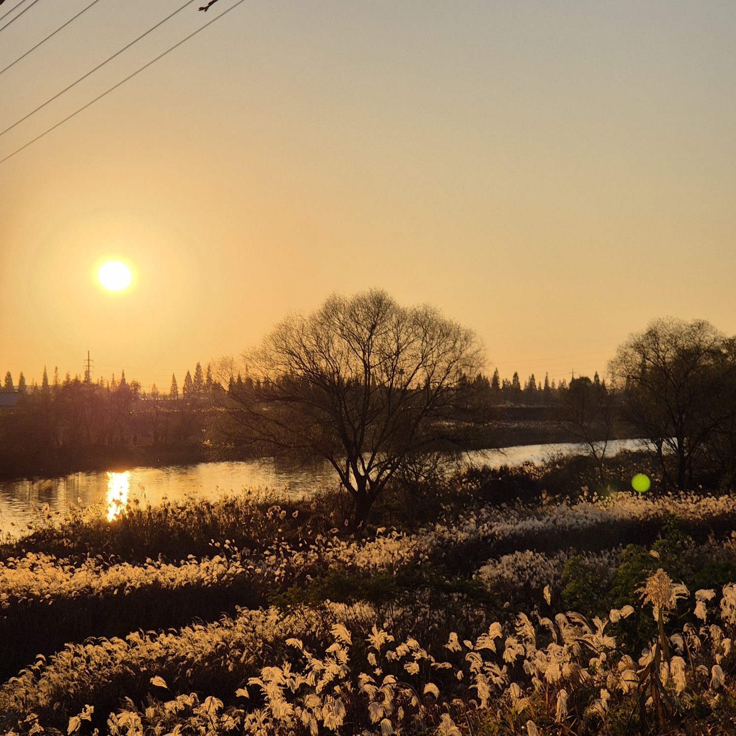 경기도 일산 카메라 수리점 추천 5곳