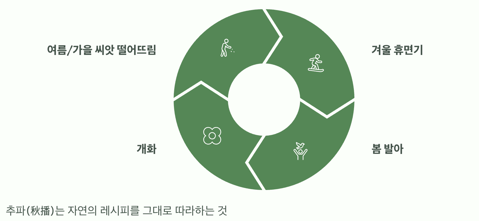 자연의 시간표를 따르는 지혜