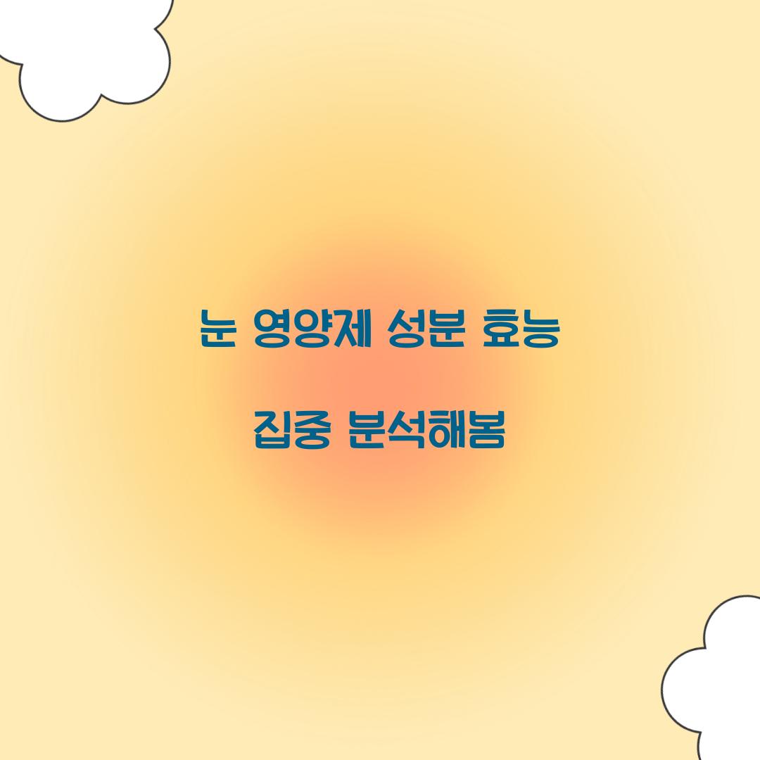 눈 영양제 성분 효능