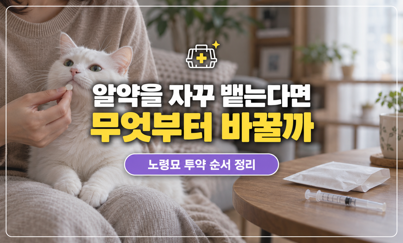 노령묘 투약 썸네일