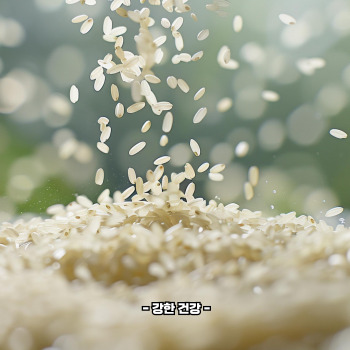 바나듐쌀 칼로리