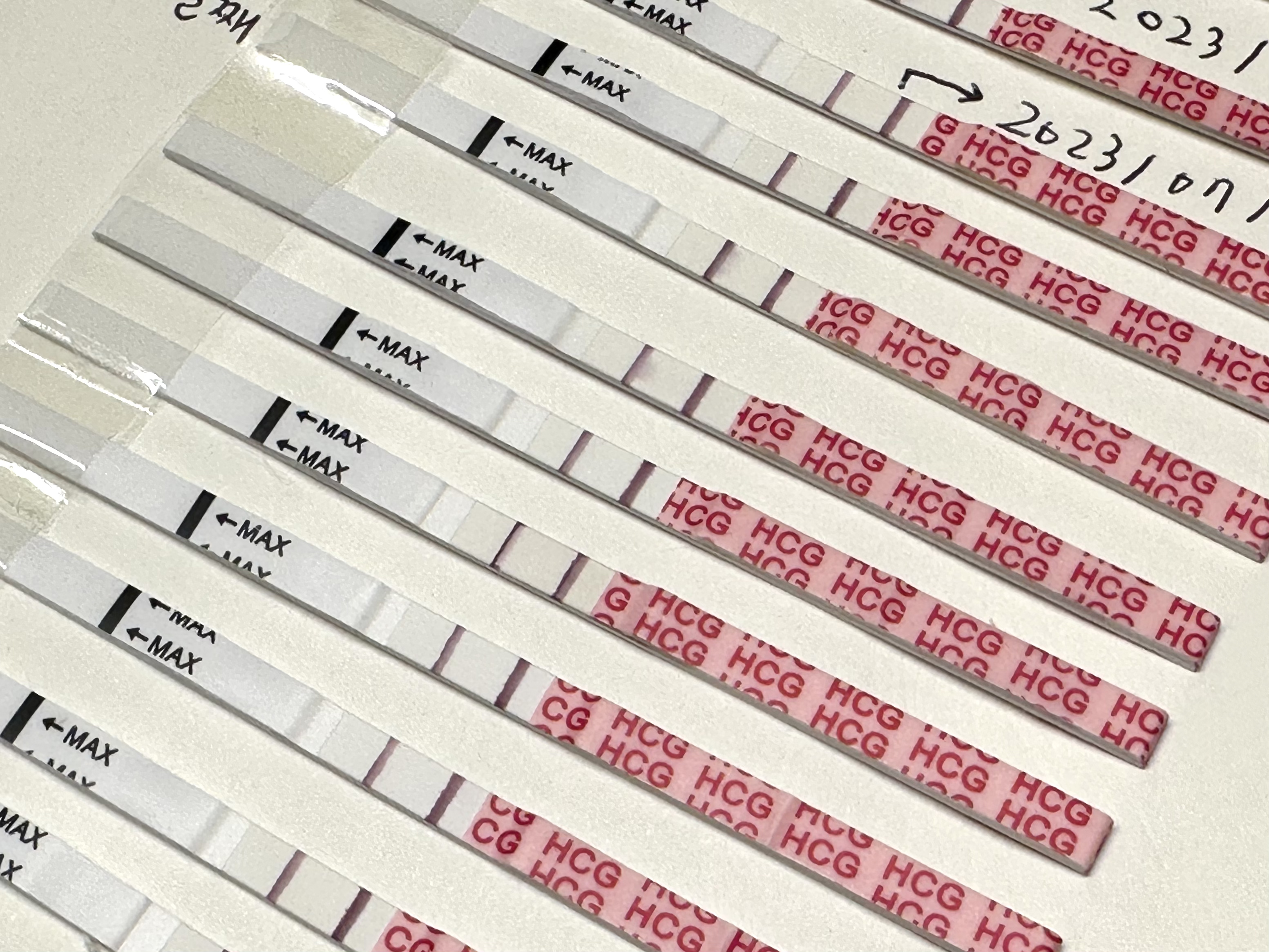 6주차 임신&#44; 유산