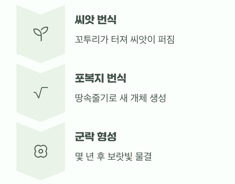 저절로 늘어나는 기쁨