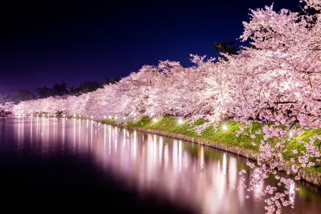 ์ผ๋ณธ ๋ฒ๊ฝ ๋ช
์