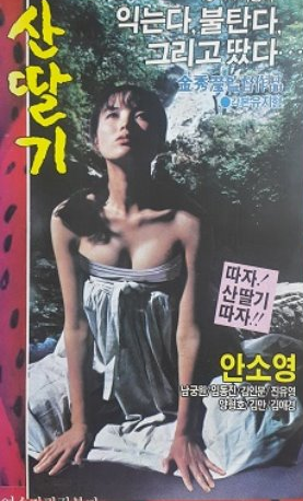 안소영 산딸기