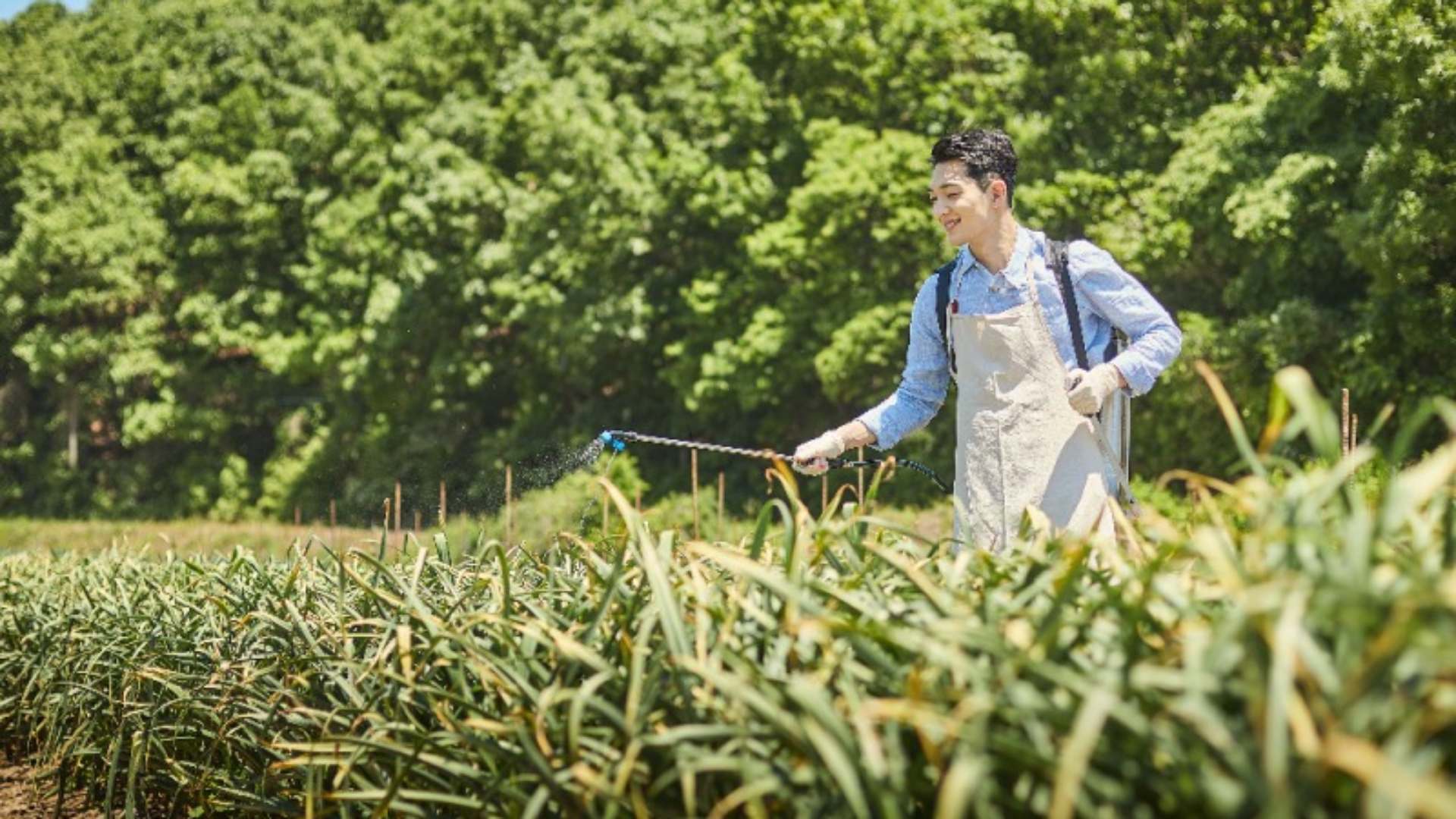 공익직불금 신청 방법 (신청자격, 지급시기)