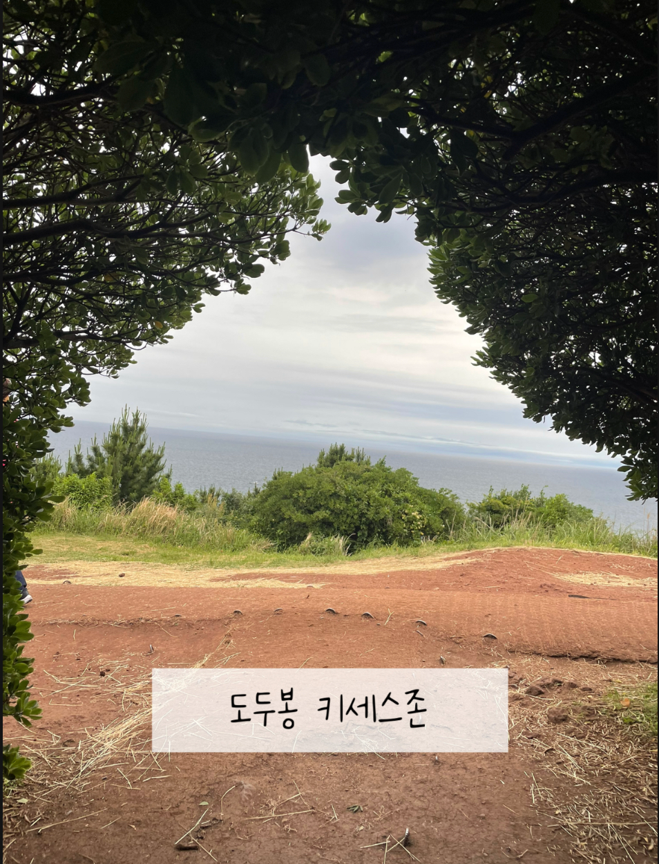 키세스존