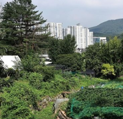 그린벨트 해제