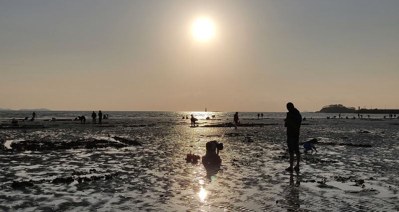 조개를 캐기위해 해루질을 하는 사람들