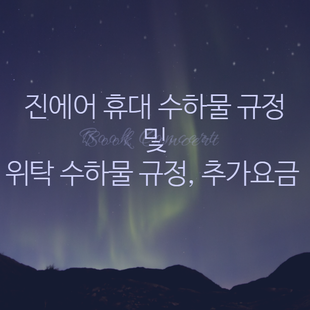 진에어-휴대-수하물-규정-위탁-수하물-규정-추가요금