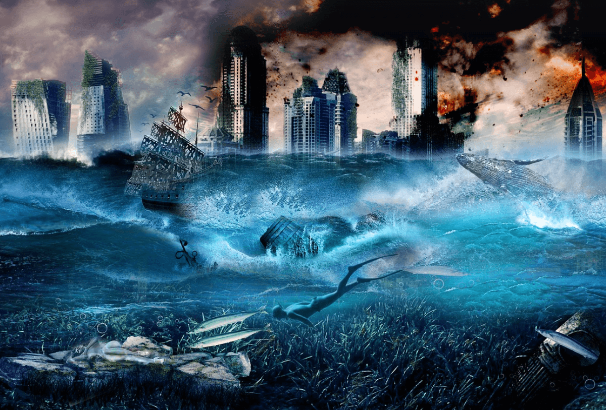 긴급재난 보조금 관련 사진