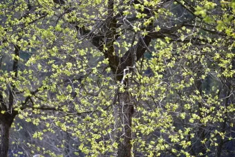 성가대 연습전 기도문 모음 4가지 성경구절 인용 포인트_18