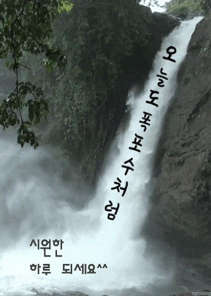 오늘도폭포수처럼