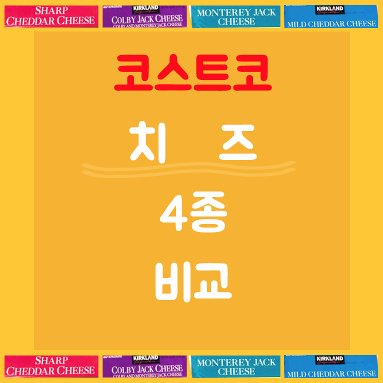코스트코-치즈-4종-비교-글씨-썸네일