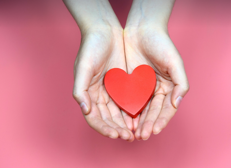 손바닥 지압 vs 발 지압, 차이점과 장점 분석