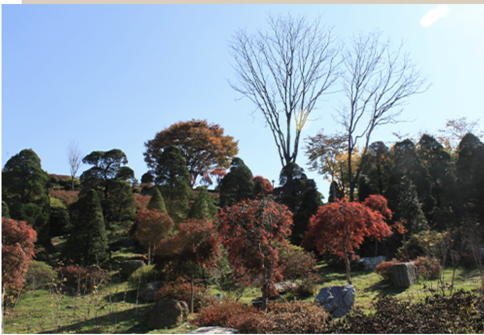 베어트리파크 단풍축제