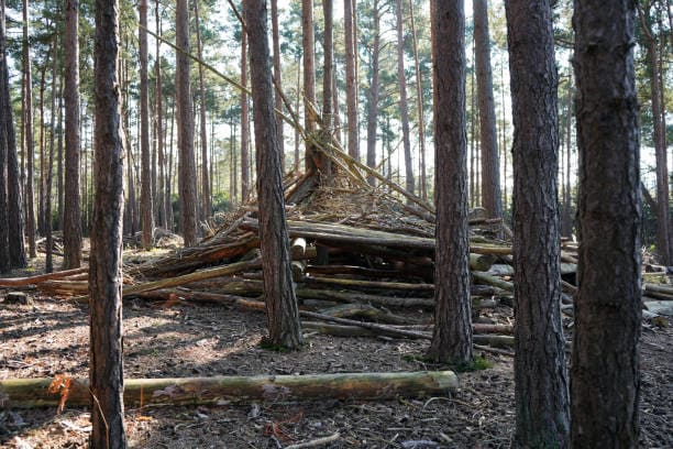 동서남북 방향 따라 최적화된 은신처 입지 분석