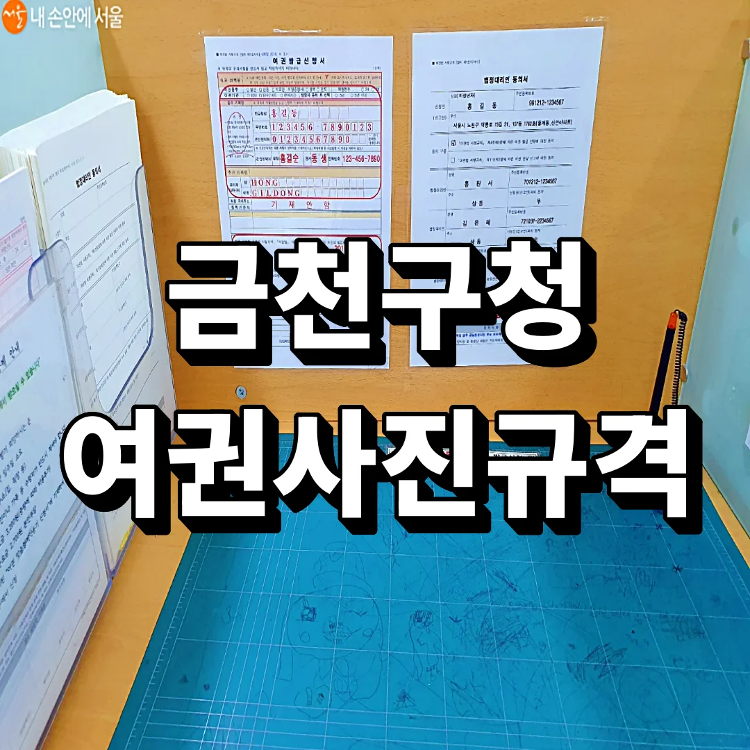 금천구청 여권, 받고 서명 안 하면 위조여권 취급받습니다