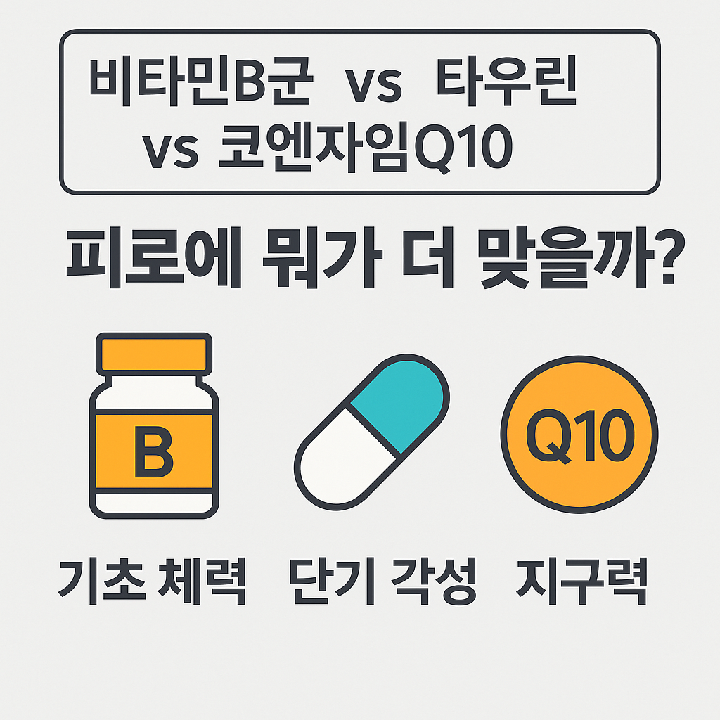비타민B군 vs 타우린 vs 코엔자임Q10 비교