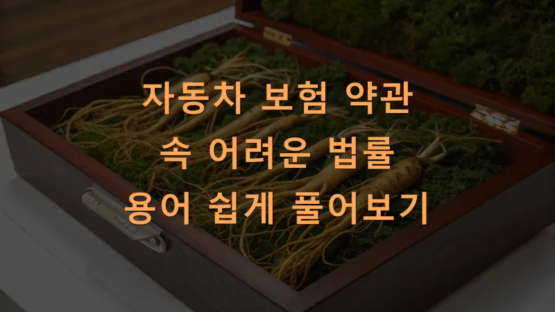 자동차 보험 약관 속 어려운 법률 용어 쉽게 풀어보기