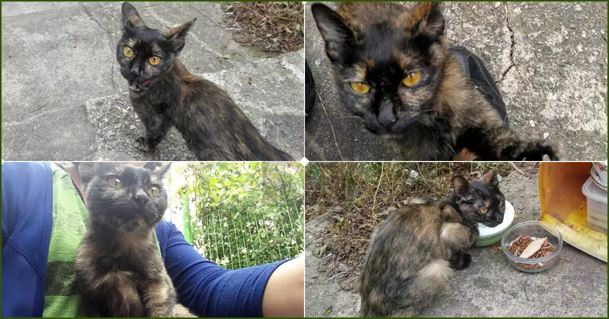 우리 다올이 길거리에서