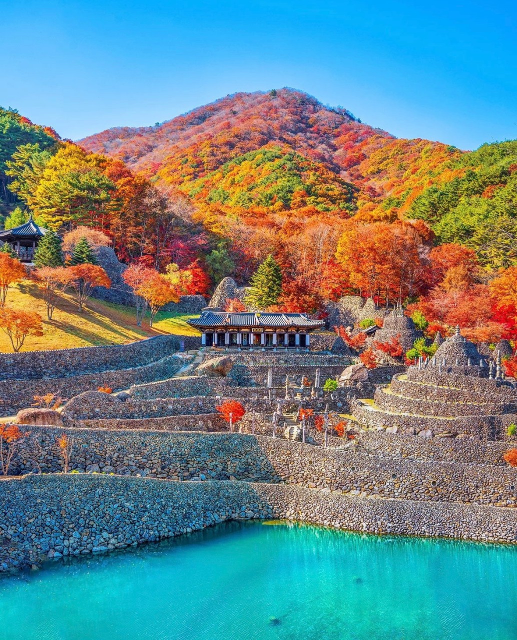 삼성궁 입장료