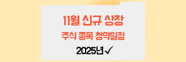 2025년 11월 신규 상장 주식