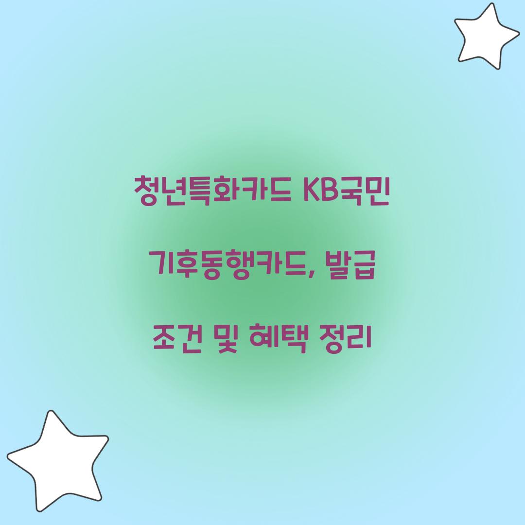 청년특화카드 KB국민 기후동행카드