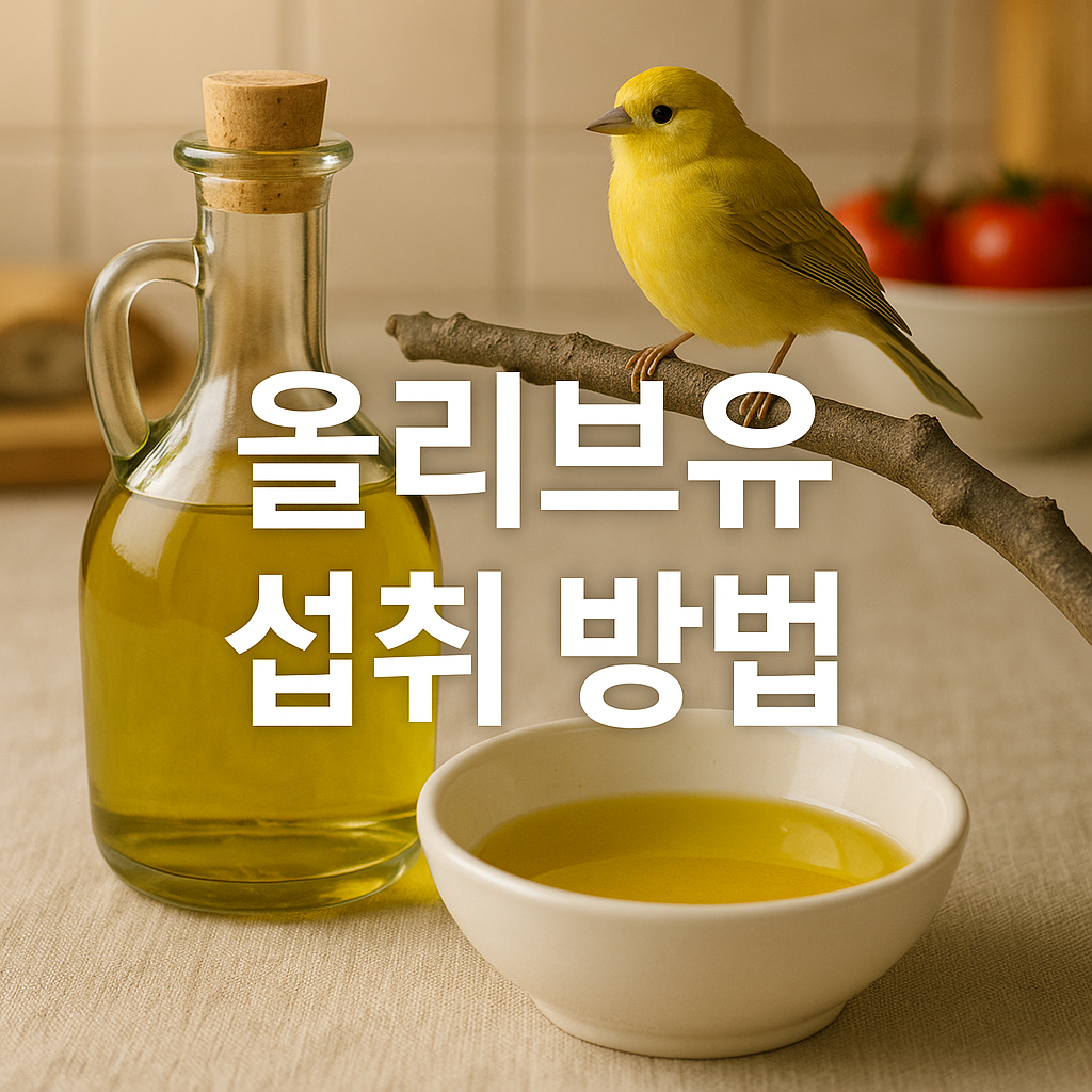 올리브유 섭취 방법