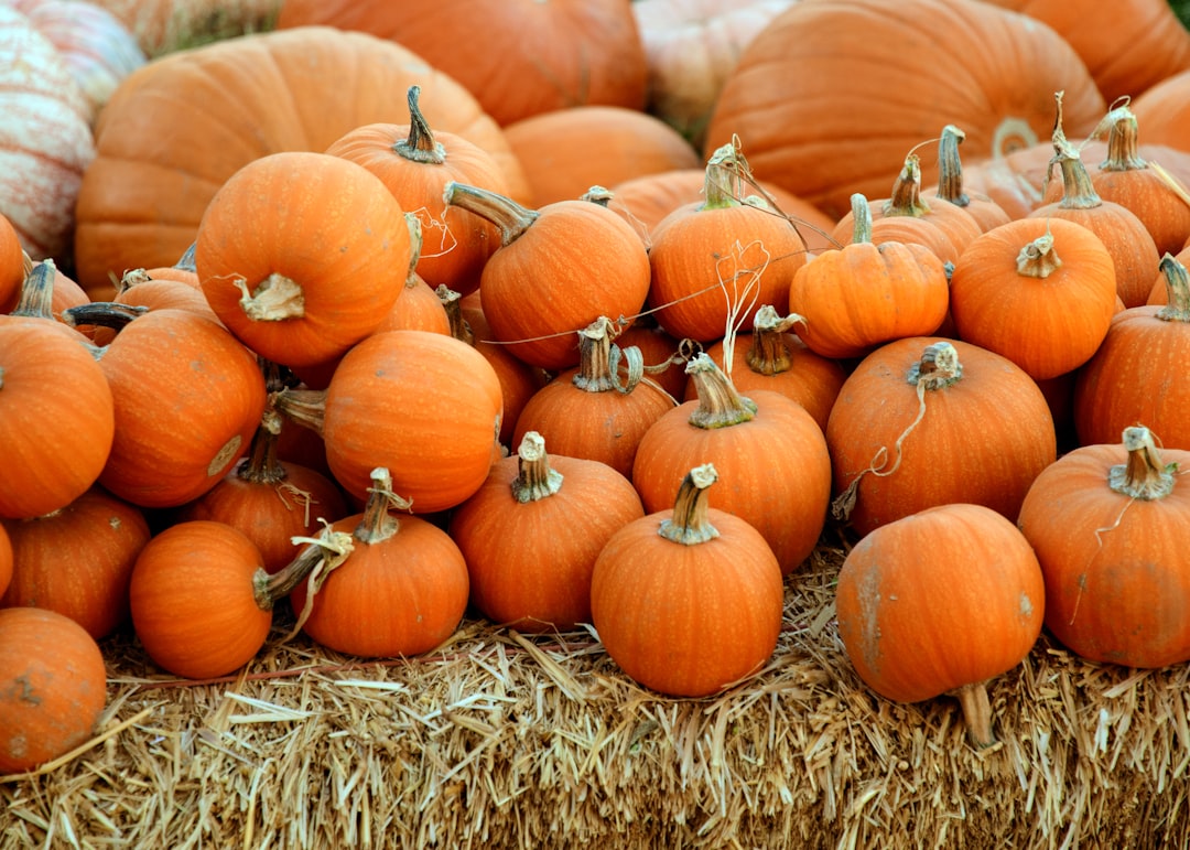 Pumpkin