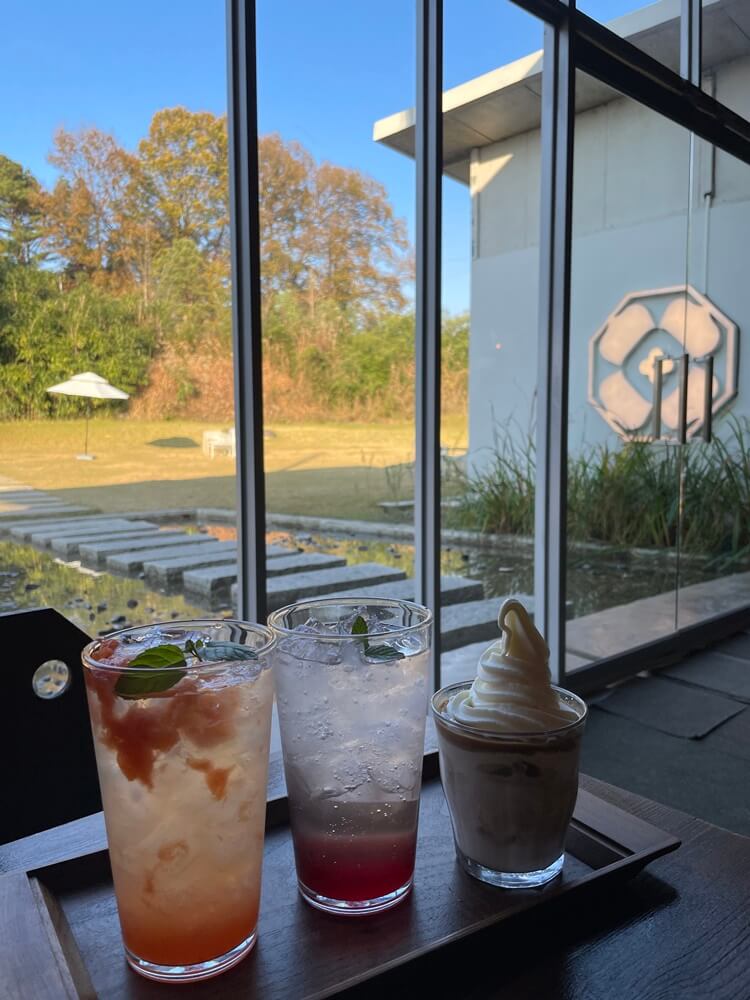 창가에서 찍은 음료 3잔